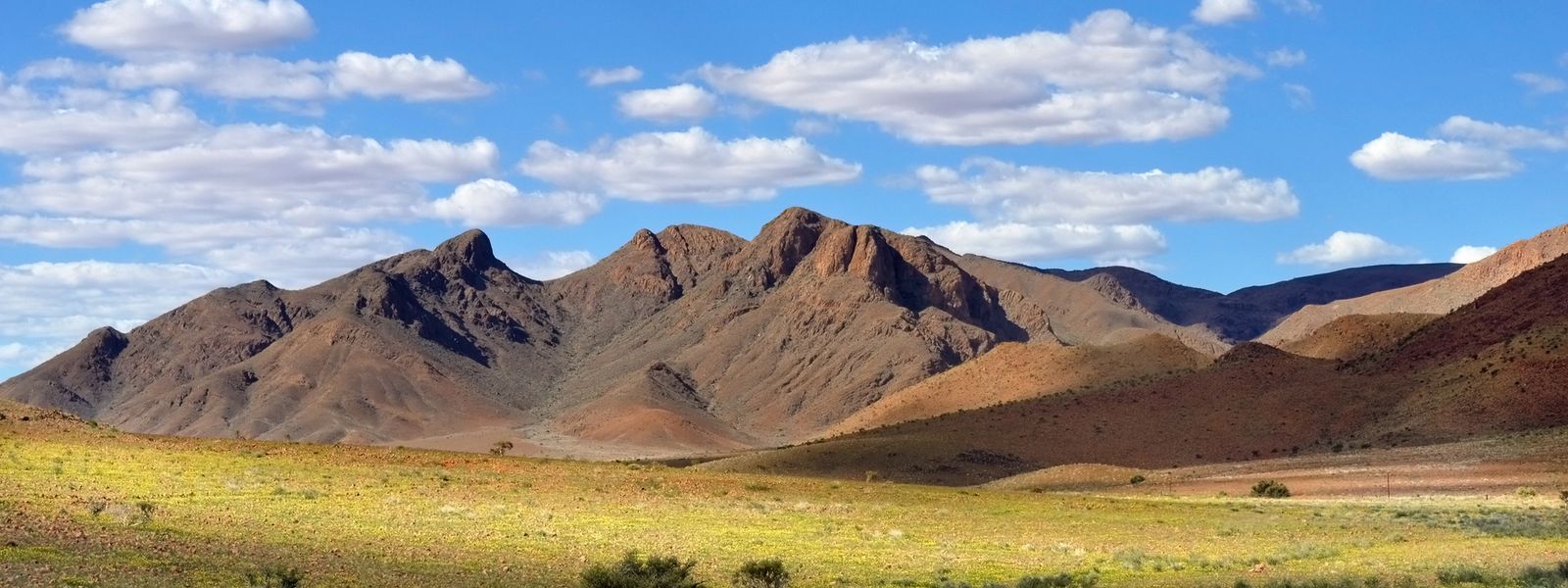 Überraschend grün: Namibia in der Regenzeit