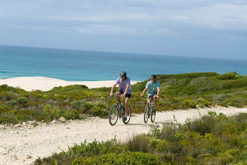 Mit dem Mountainbike durchs De Hoop Nature Reserve