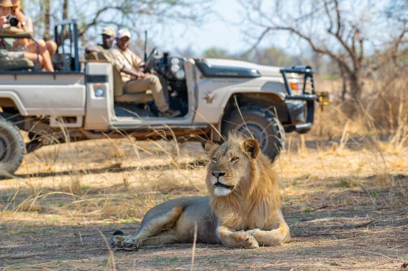 Afternoon game drive at Tafika Camp