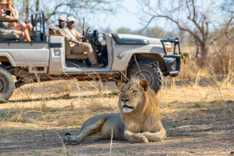 Afternoon game drive at Tafika Camp