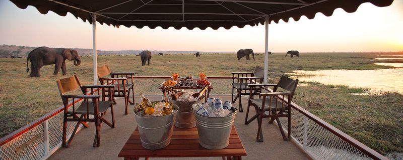 Sundowner neben Elefantenherde in Botswana