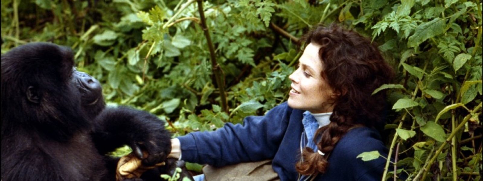 Les 12 films sur l'Afrique à voir absolument !