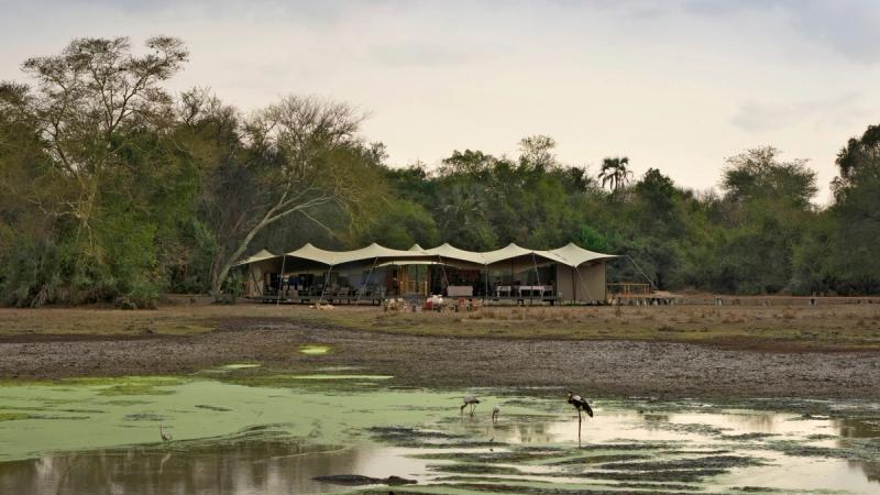 Chicari Camp sits beside a wetland filled with wading birds during a Gorongosa safari.