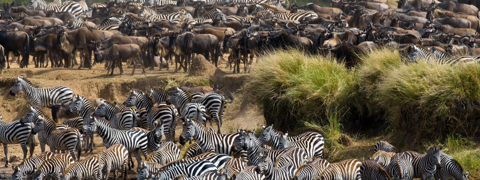 As atrações mais visitadas da África Oriental