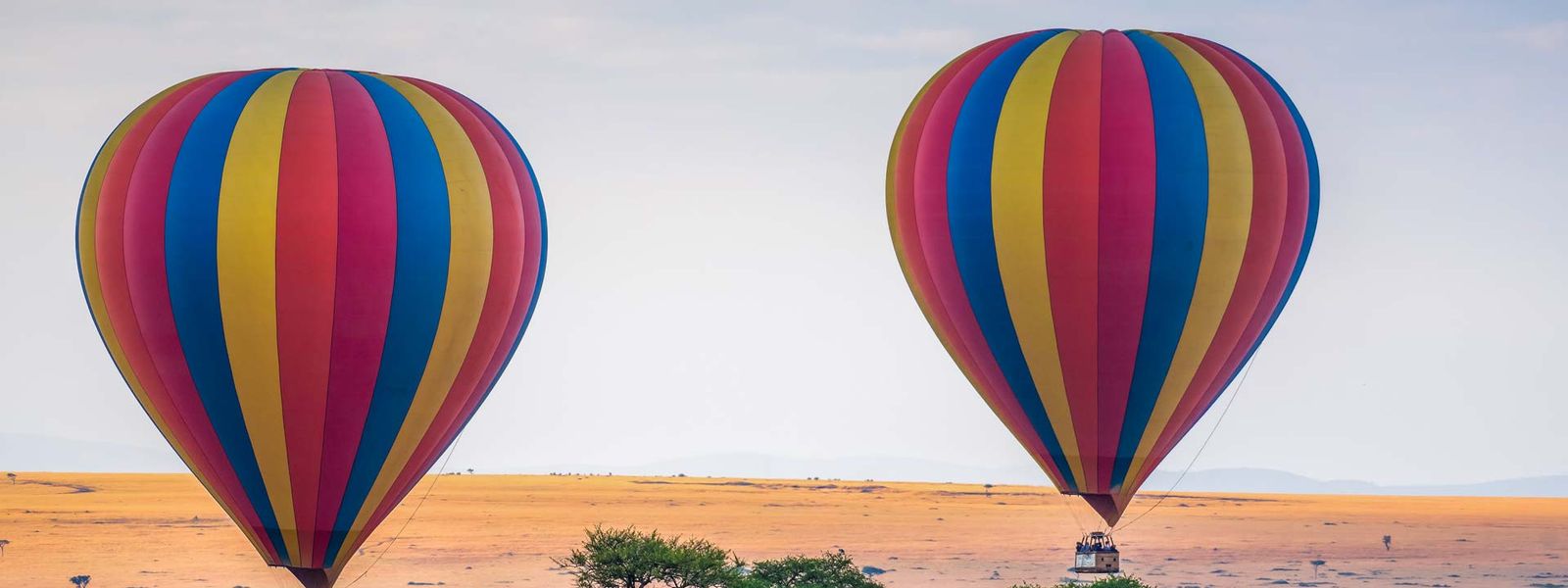 Sua lista de desejos da África para 2023