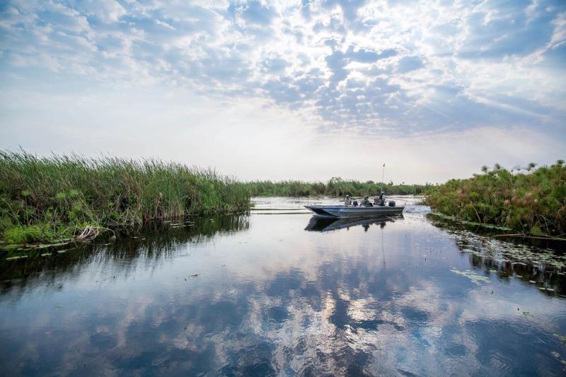 A boat on one of the winding papyrus-lined channels of the Okavango Delta