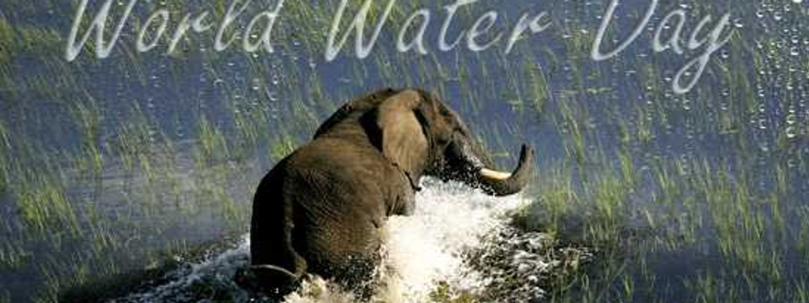 Today is World Water Day!