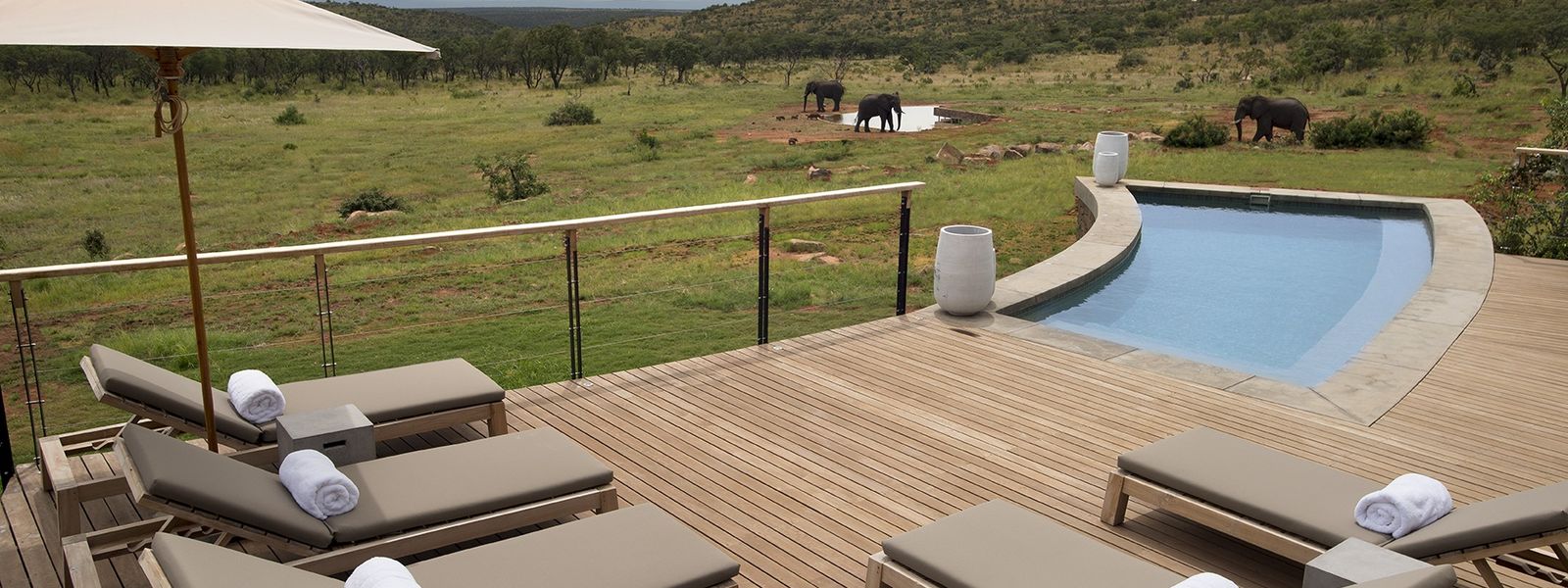 Mhondoro Safari Lodge | Review 2020