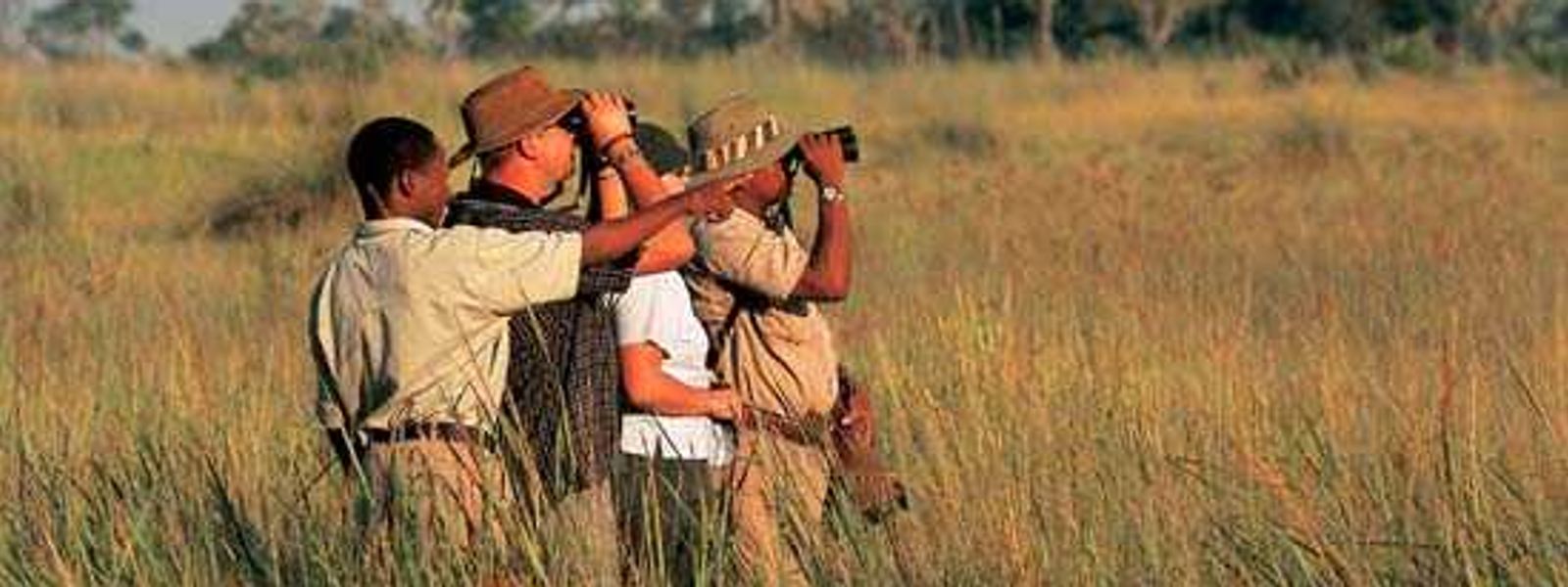 Meet The Big Five: Africa's Animals