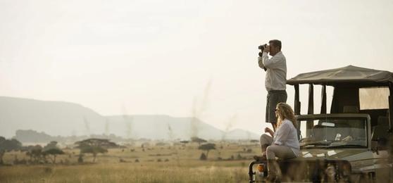 Kenya vs Tanzania Safari: Which Road Will You Take?
