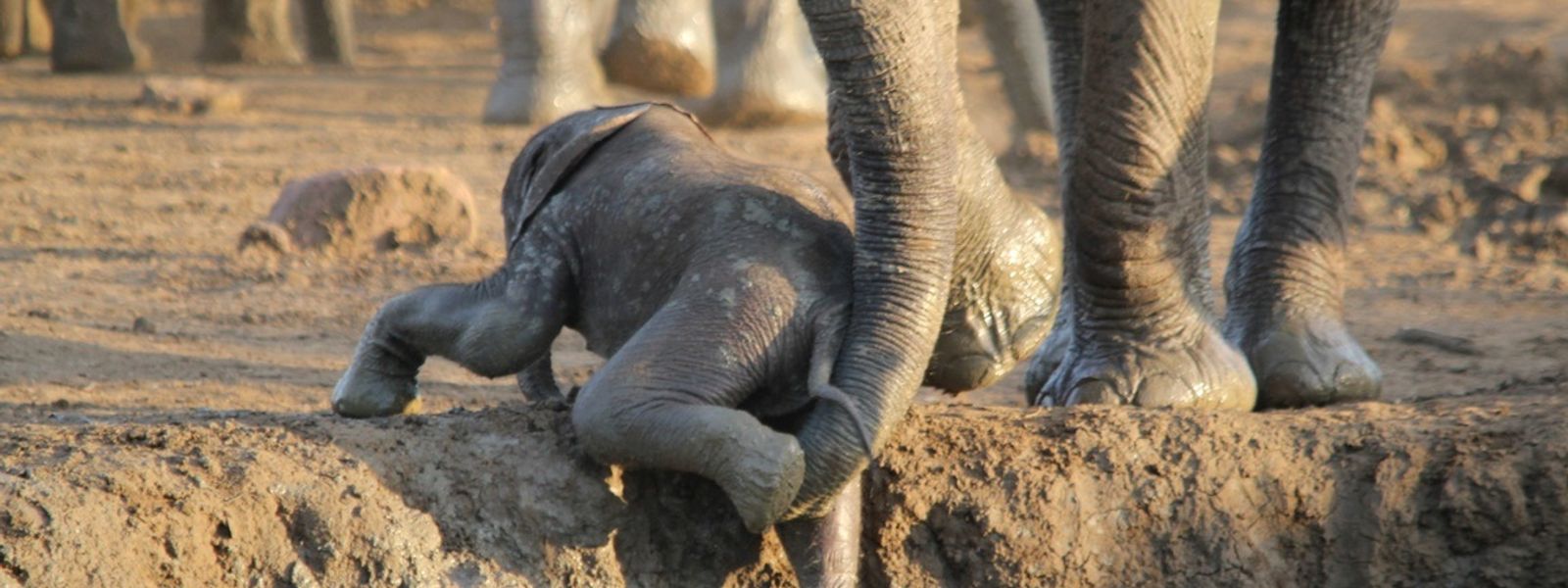 Mother's Day in Africa