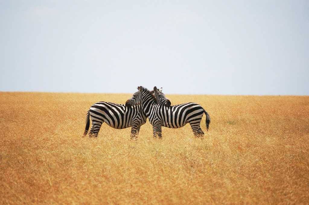 Les destinations les plus romantiques d'Afrique