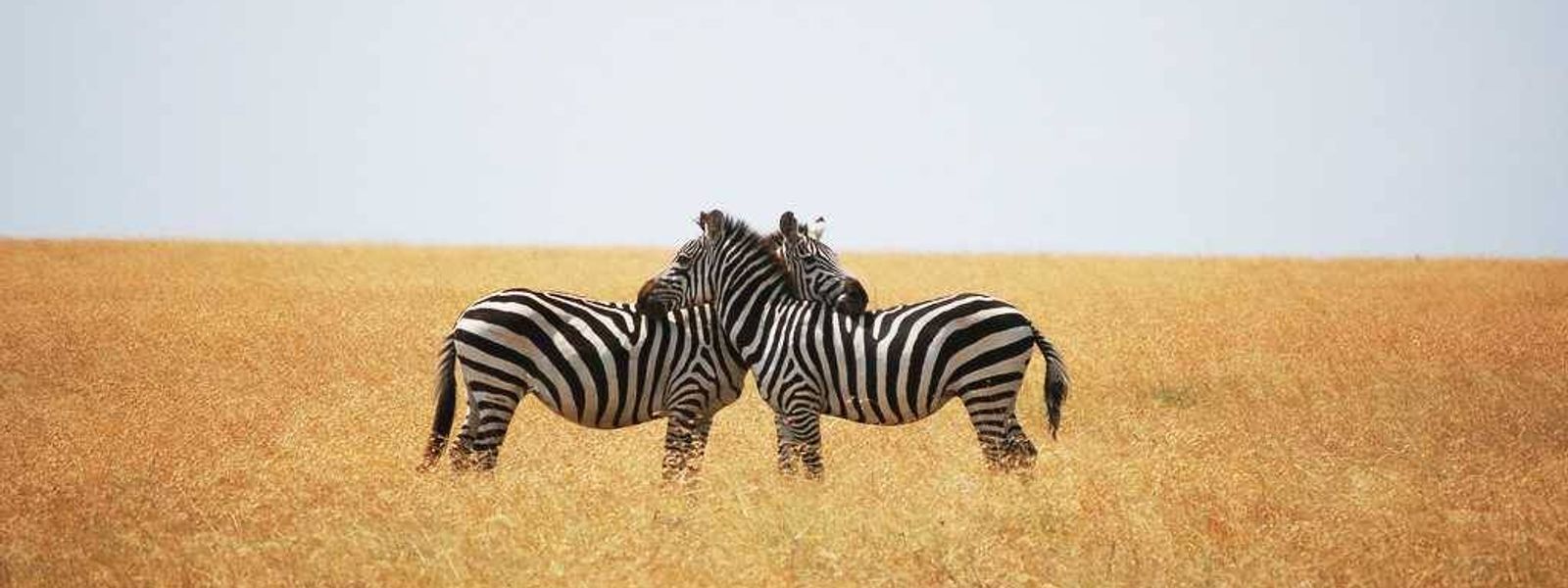 Les destinations les plus romantiques d'Afrique