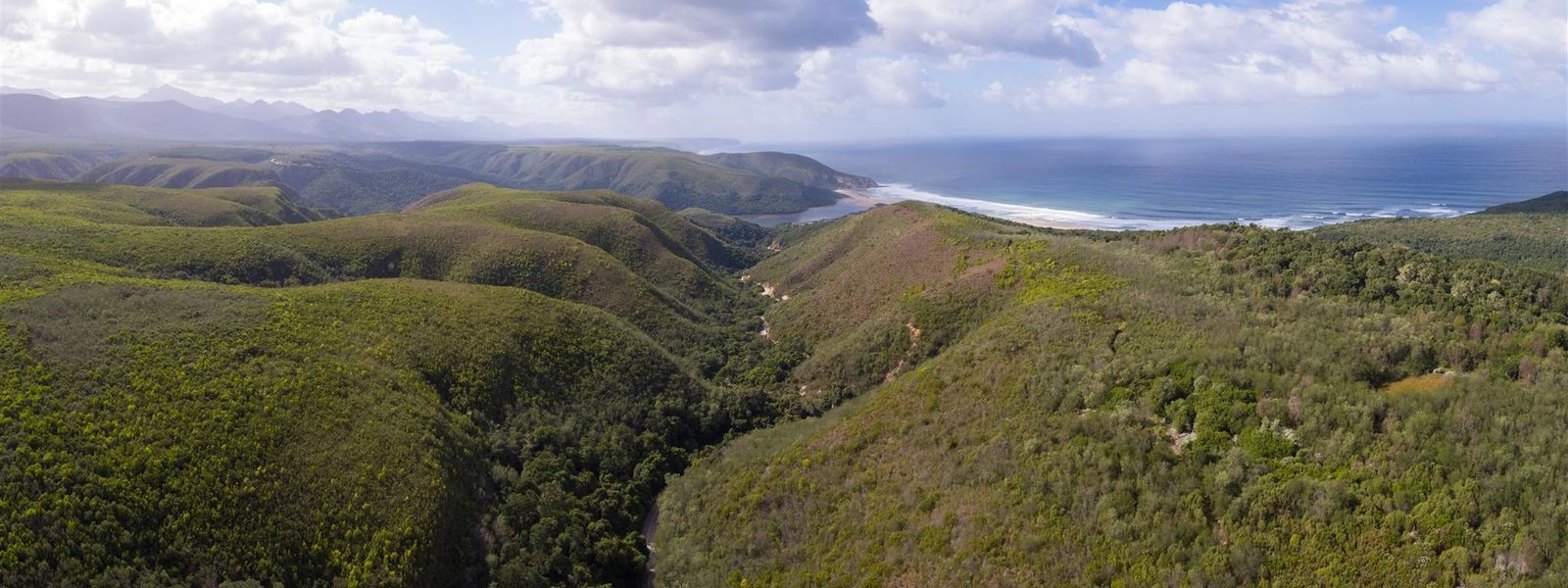 Su Guía para un Viaje por la Ruta Jardín