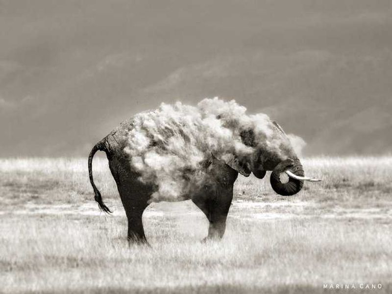 By Marina Cano