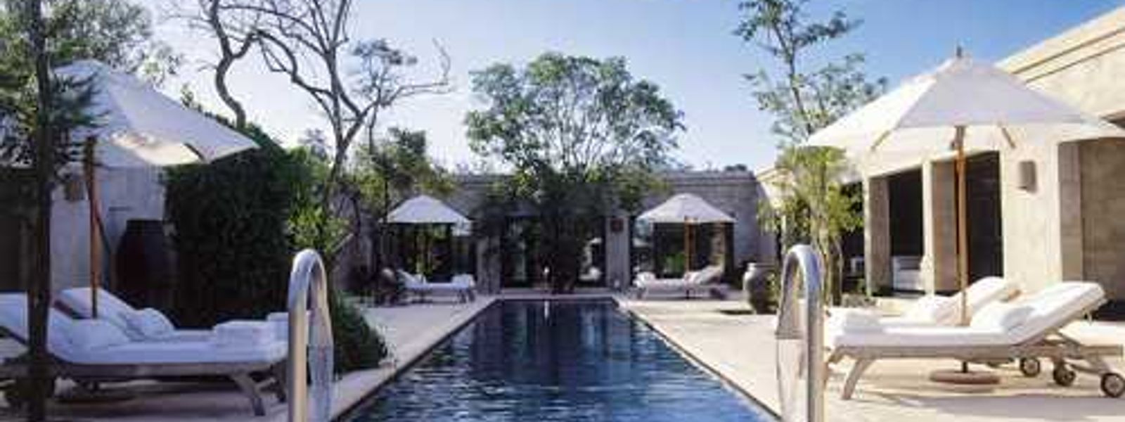 The Royal Portfolio