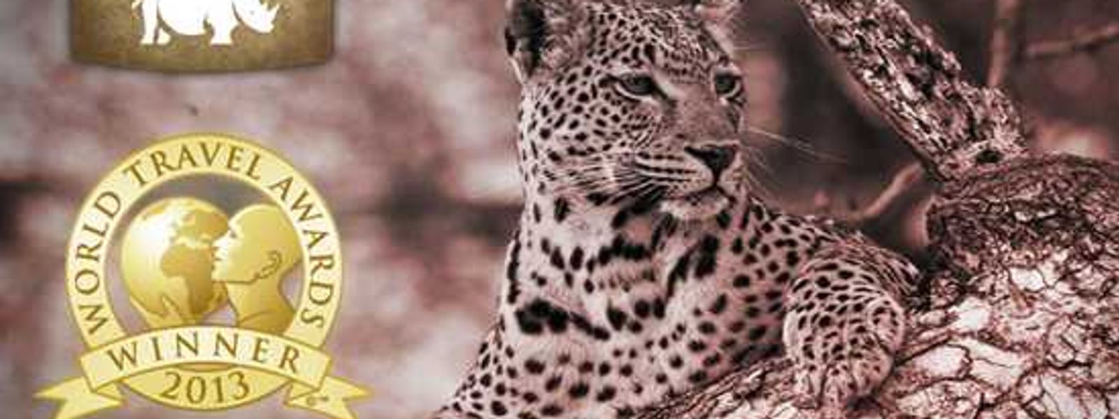 Rhino Africa Safaris Voted Africa’s Leading Safari Company 2013 | World Travel Awards 2013