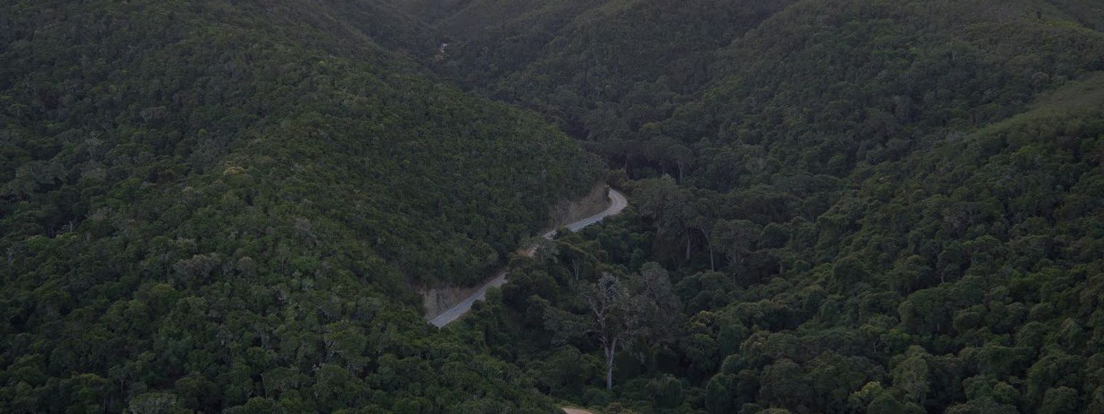 Side-Track: The Marvellous Meander to Greyton