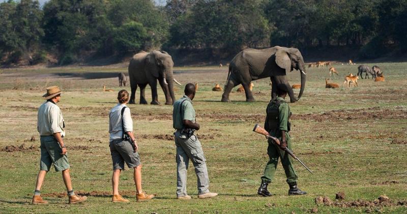 Você não pode ir ao Parque Nacional South Luangwa sem fazer um safári a pé