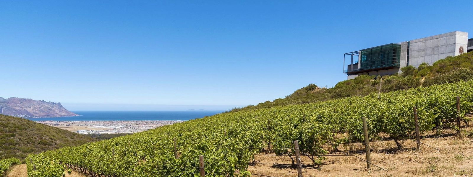 Our Favourite Restaurants in Somerset West