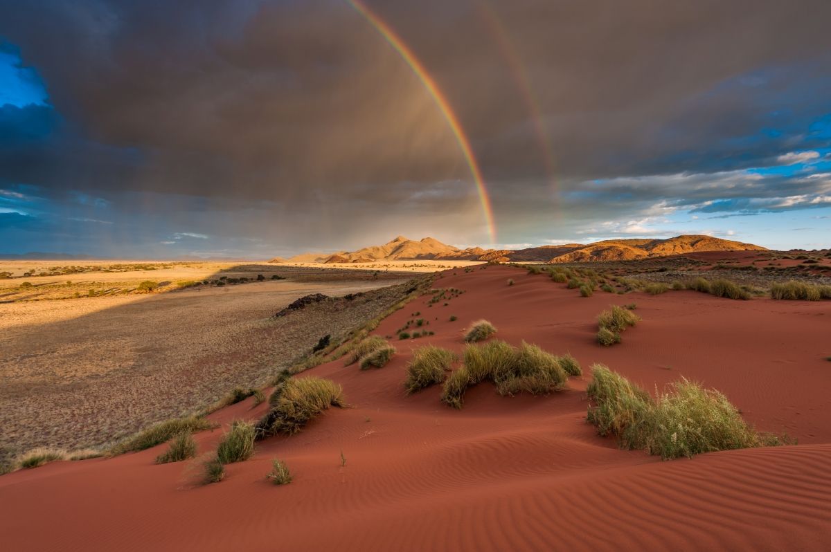 Don’t Miss These Safari Experiences in Namibia