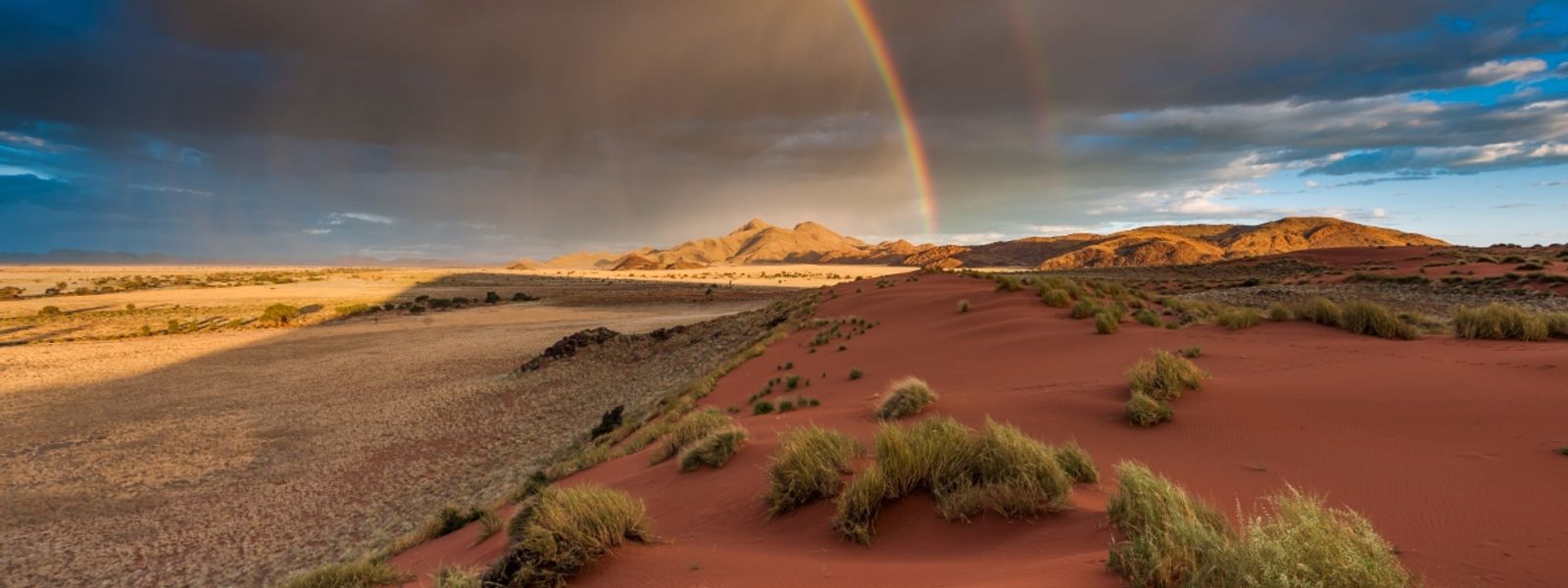 Don’t Miss These Safari Experiences in Namibia