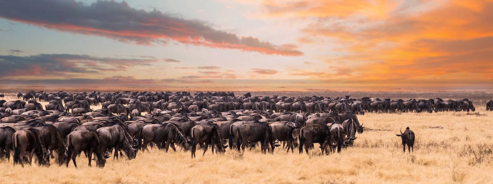 África Oriental está lista para darle la bienvenida