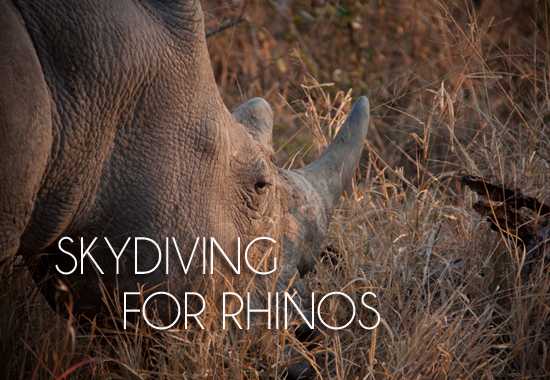 World Rhino Day 2012