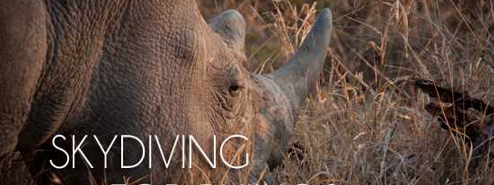 World Rhino Day 2012