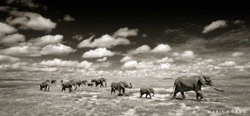 By Marina Cano