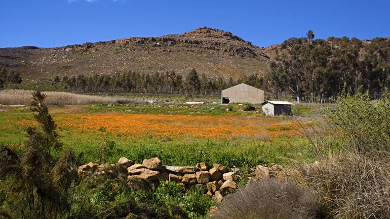 Cederberg Ridge Wilderness Lodge | Review 2019