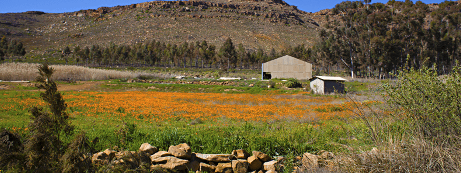 Cederberg Ridge Wilderness Lodge | Review 2019