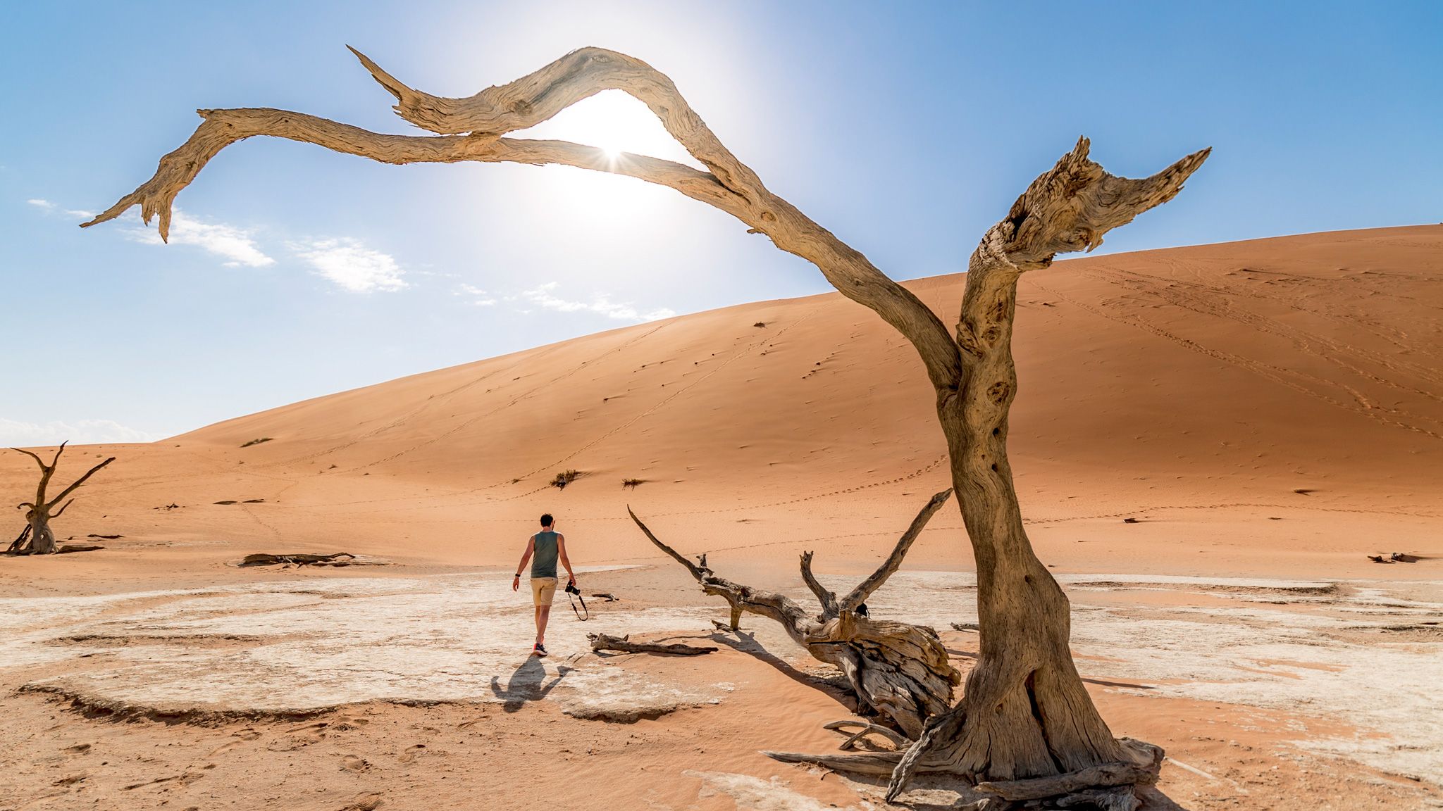 7 Reasons Why Namibia is So Special