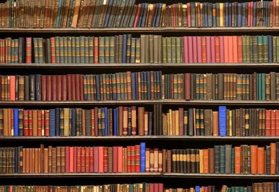 Fully packed book shelf