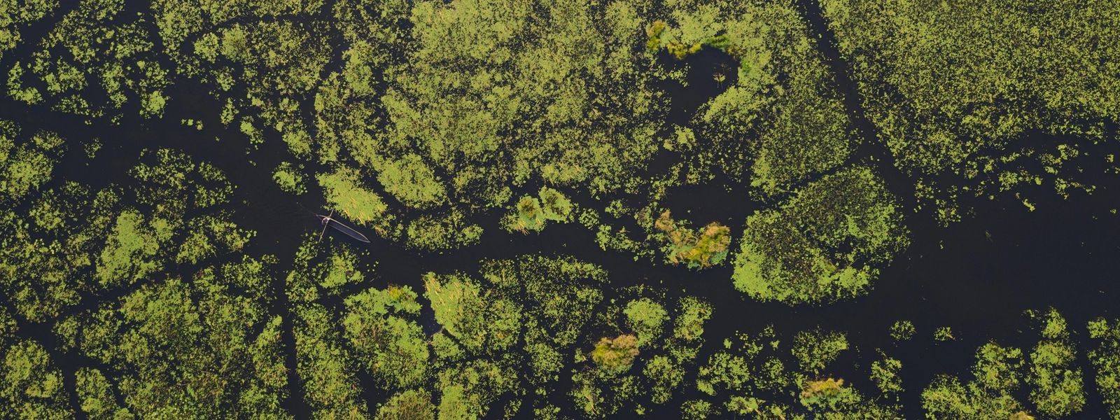8 Things You Didn't Know About the Okavango Delta in Botswana