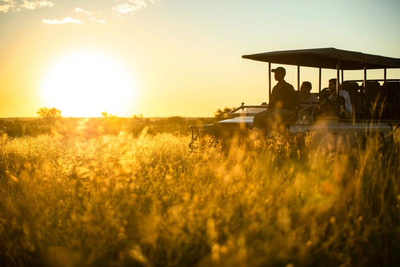 Sunset game drive at Tswalu Kalahari
