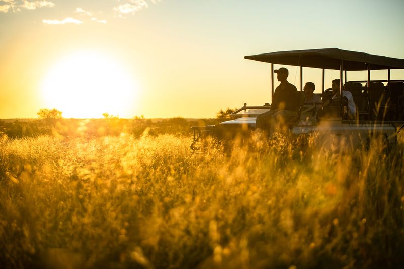 Sunset game drive at Tswalu Kalahari
