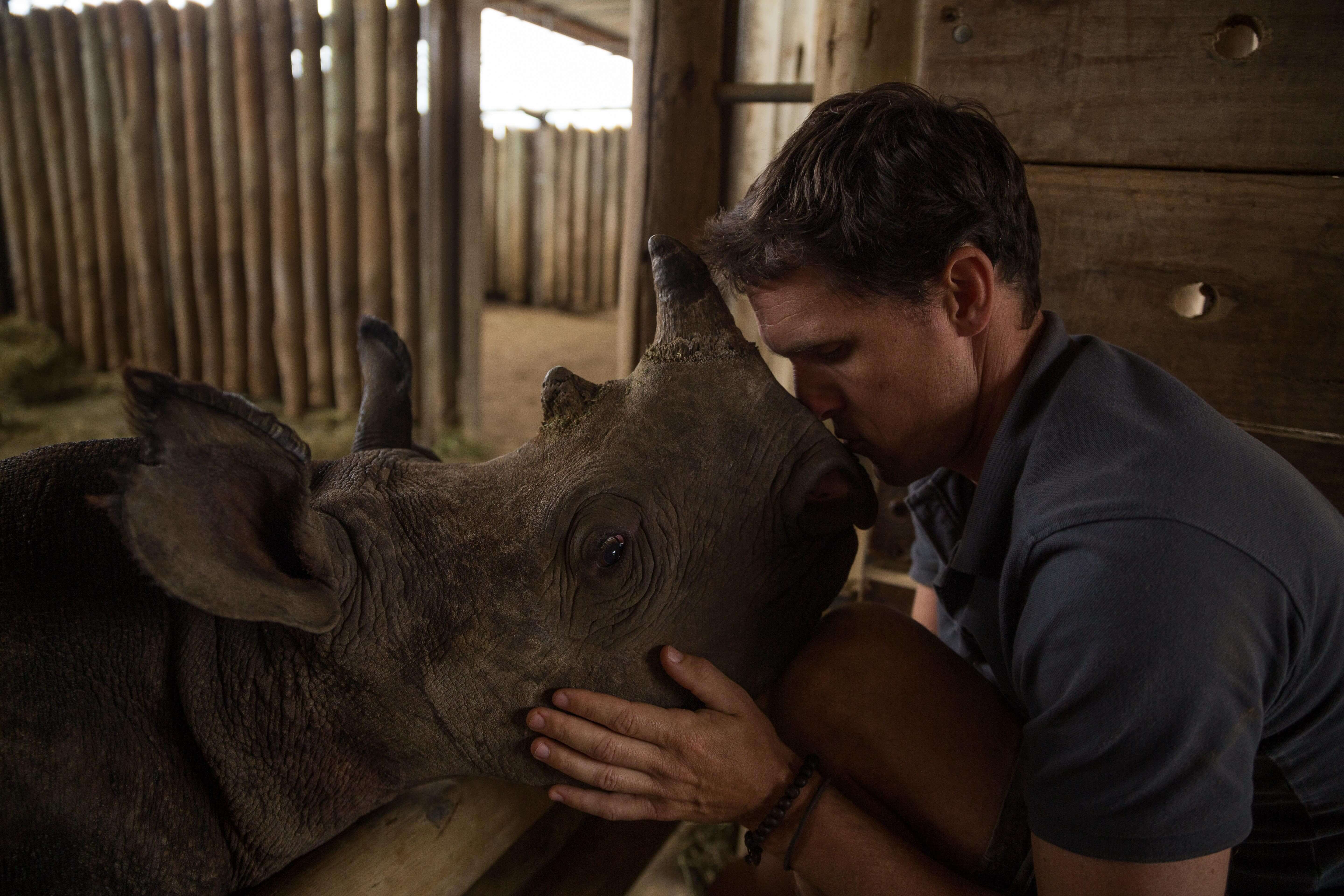 Wildlife ACT | Na luta pela conservação da vida selvagem africana