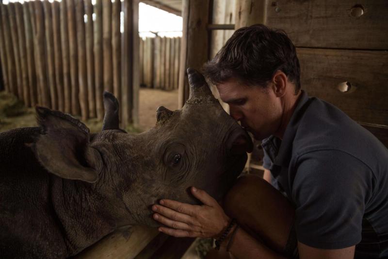 Man with rhino, Wildlife ACT 