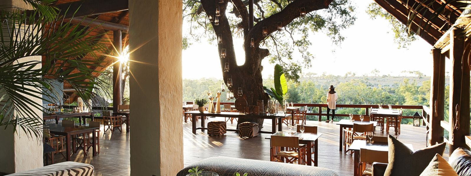 Londolozi in Pictures: A Legacy of Wildlife and Elegance