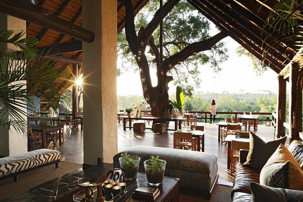 Londolozi in Pictures: A Legacy of Wildlife and Elegance