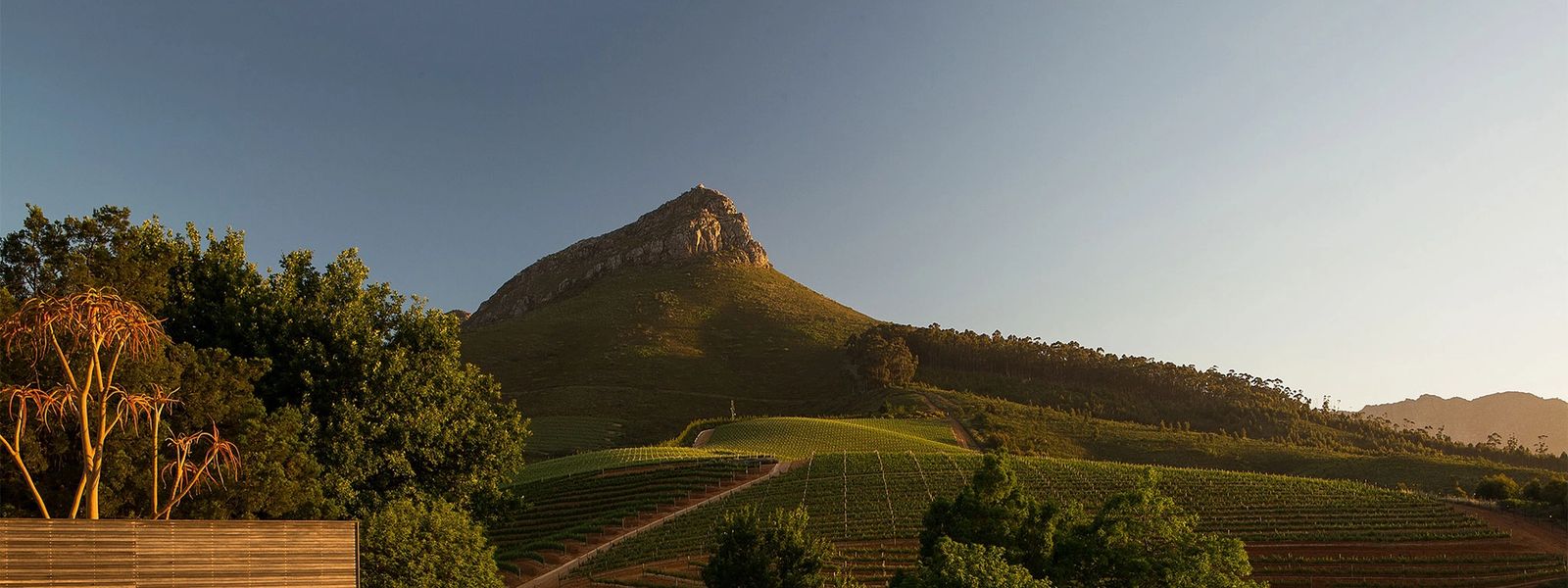 Un itinéraire à travers la Route des Vins du Cap