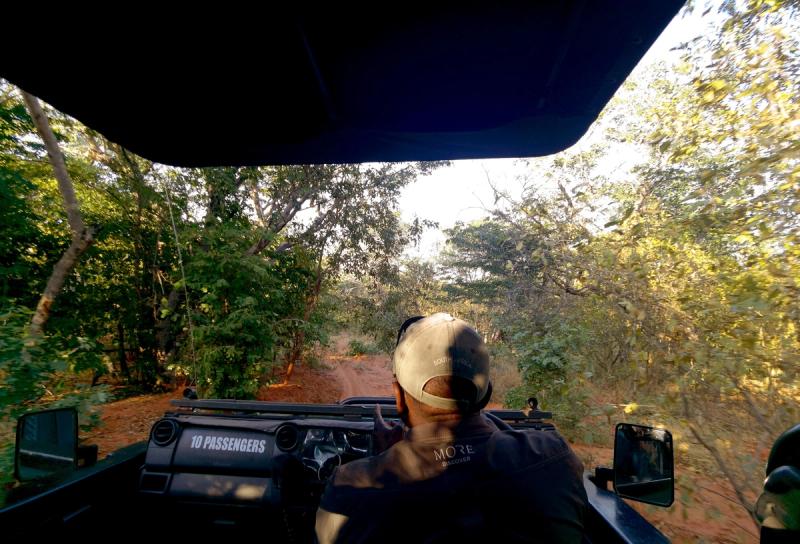Game drive in Victoria Falls Private Game Reserve with Stanley & Livingstone