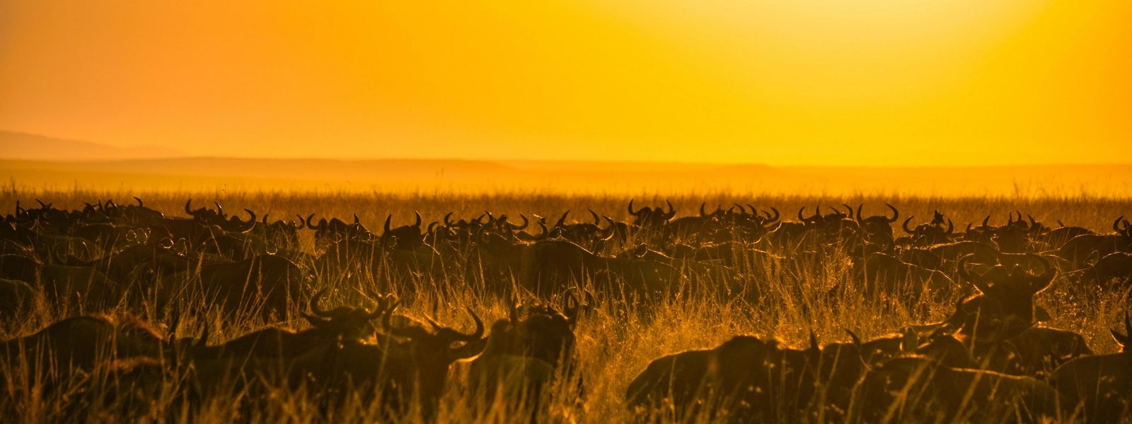 African Travel in March