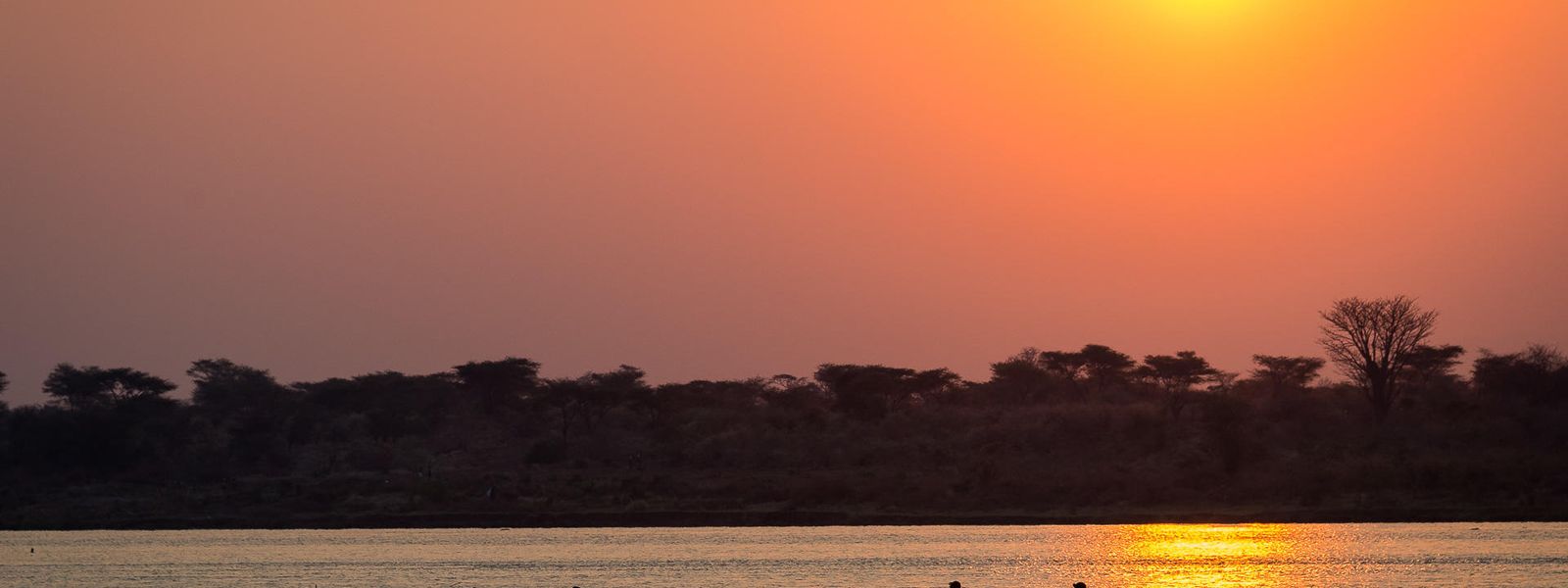 Fauna y Cataratas: Un Itinerario de Safari por Zimbabue y Zambia