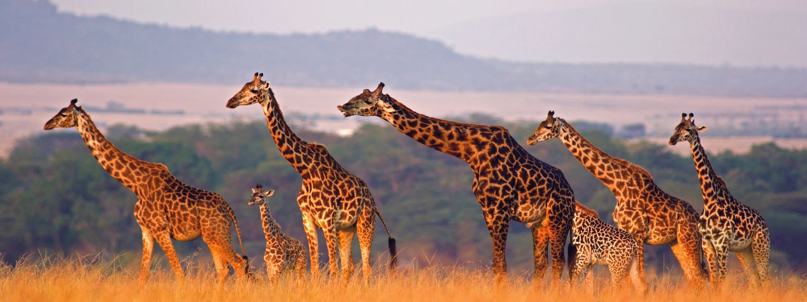 26 Zeichen, dass Sie schon mal in Afrika waren