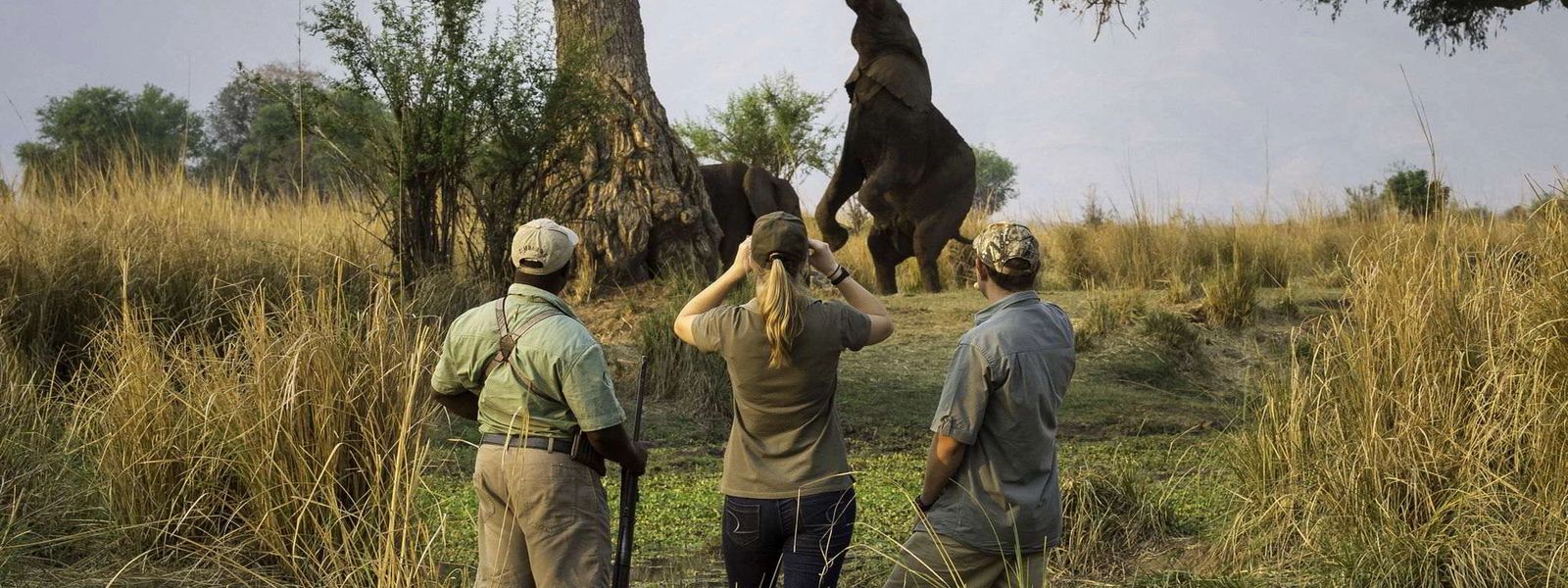 Guide du safari à pied
