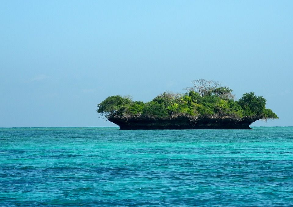 A Message in a Bottle from Zanzibar