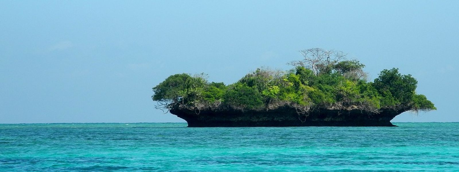A Message in a Bottle from Zanzibar
