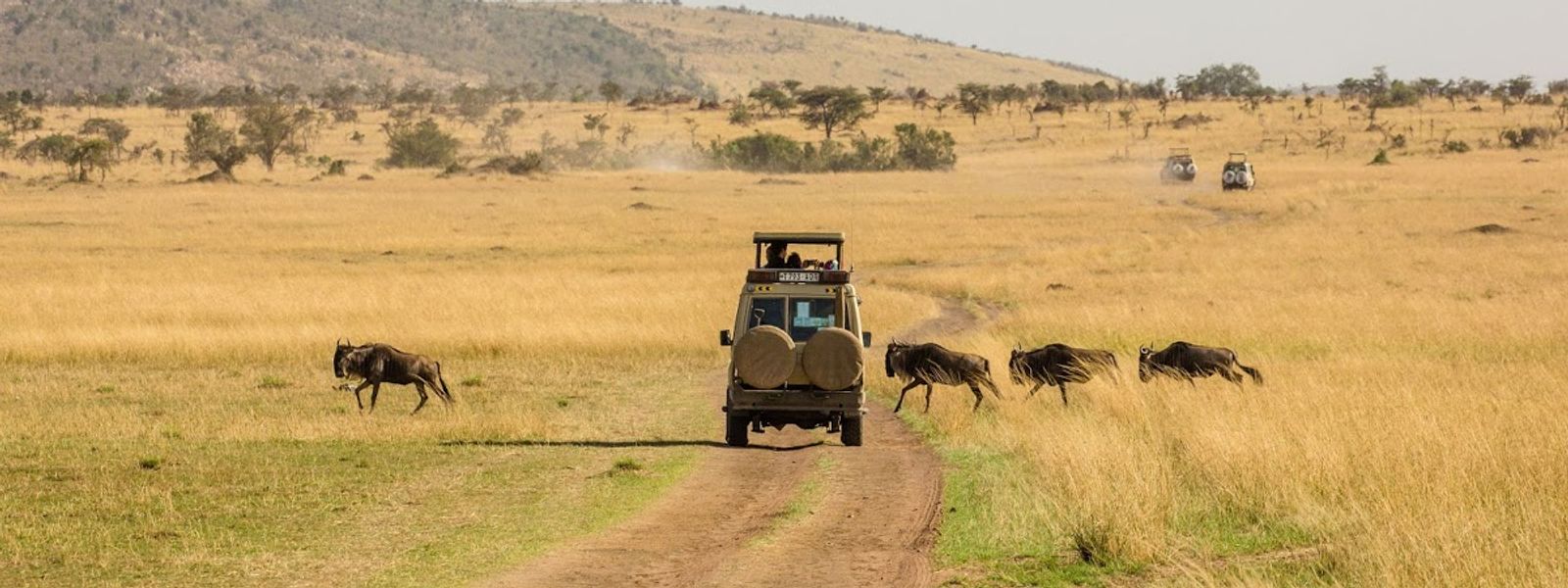 The Ultimate Guide to an East African Safari